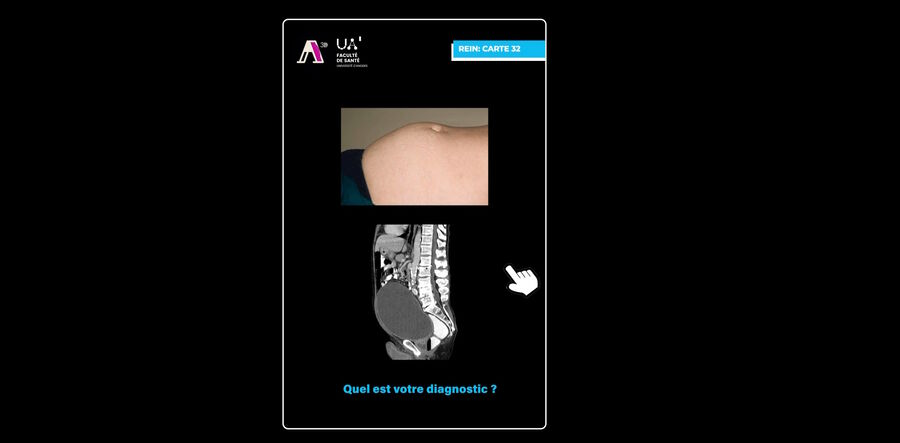 App for medical students developed by the University of Angers. Image courtesy of Dr. Florian Bernard.