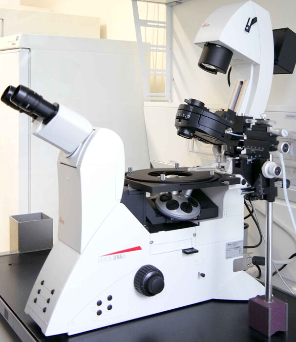 Fig. 7: DMi8 inverted compound microscope with a customized oil-micromanipulator used for microinjection into the worm's gonads.