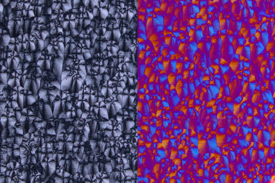 左：用平行偏光镜放大20倍的聚乙烯薄膜。薄膜中存在典型的球晶。球晶，现在与黑暗的马耳他十字架，清晰可见。右：用交叉偏光镜和lambda板成像的聚乙烯薄膜。球晶的大小和分布对薄膜的性能有决定性的影响。DM4 P显微镜配20x平面荧光物镜和偏光镜的成像效果
