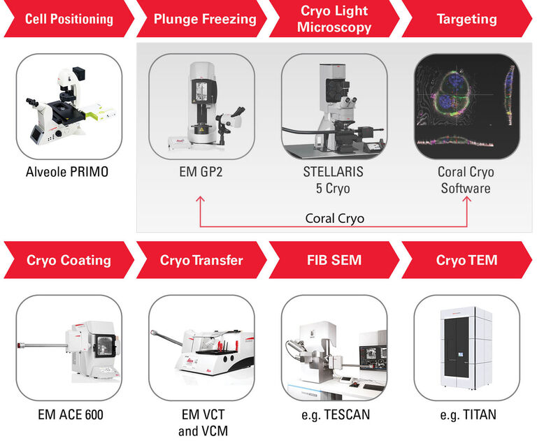 Soluciones de flujo de trabajo de tomografía crioelectrónica Coral Cryo 3D