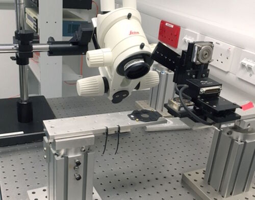 Figure 3: Setup with Leica stereo microscope used for handling and analysis of mouse brain neurological samples.