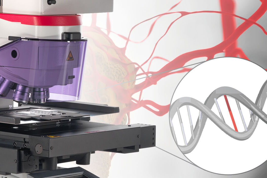 Automated Laser Microdissection for Proteome Analysis lmd-article-precise.jpg