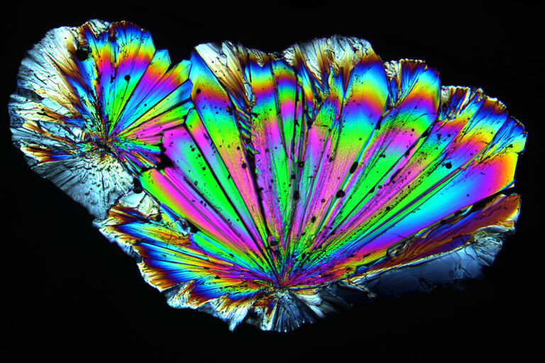 Radially grown sugar crystals imaged with circular polarized light. Image recorded with a DM4 P microscope using transmitted light, 10x Plan Fluotar objective, and polarizers.