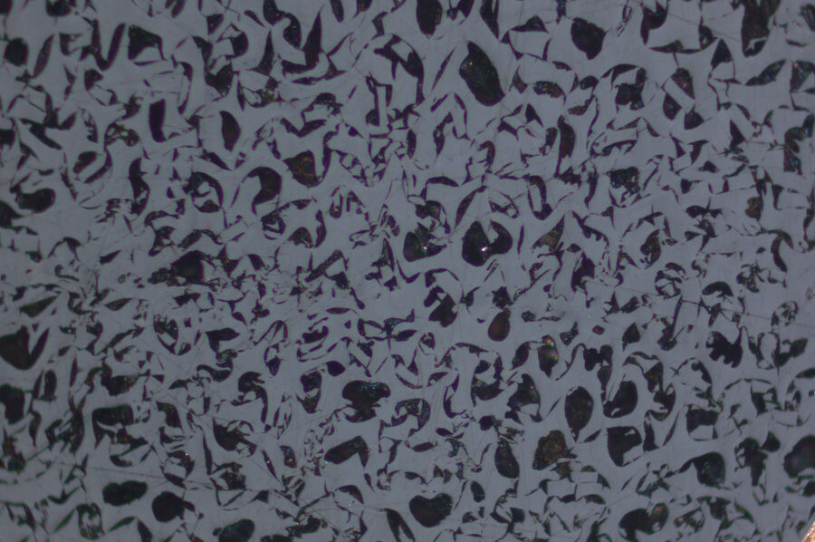 这张图片显示了惰质组的高反射显微组分。DM4 P显微镜使用50倍油N平面物镜和XLR偏光镜的成像效果