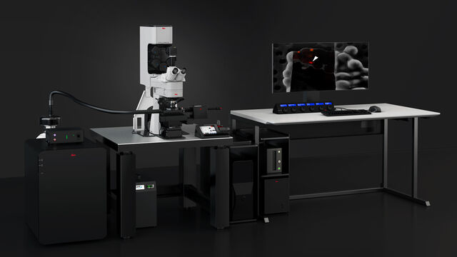 Tecniche avanzate di microscopia