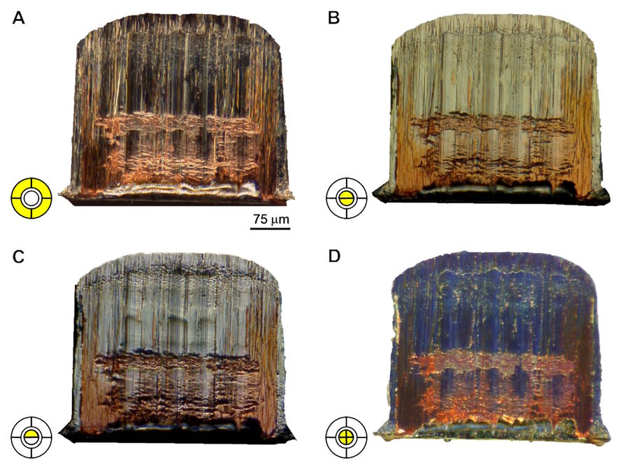 Different images of the trimmed edge (cross section) of a Sn-plated Cu leadframe taken with the Leica DVM6 using different illumination contrast methods