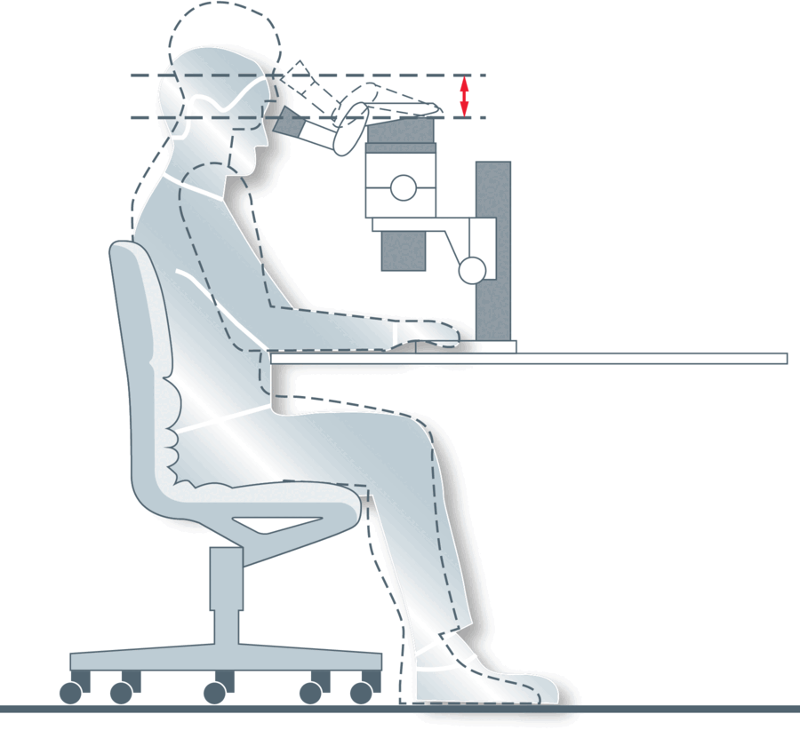 ErgoTube目镜镜筒有助用户确保身体和头部始终处于最为放松的位置，让手臂得到良好支撑，腿部拥有足够空间，并且舒适地坐在椅子上。