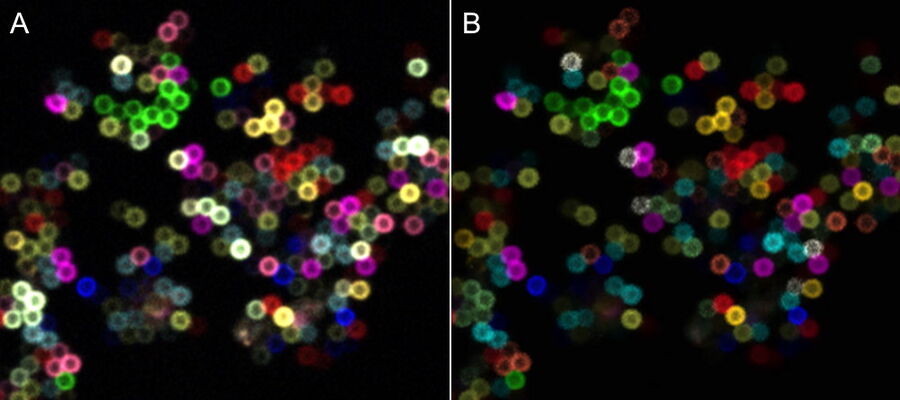 (A) Raw image of the 11-color beads (nominal diameter 0.8 micron) sample, and (B) image obtained with the dye separation tool integrated in STELLARIS.