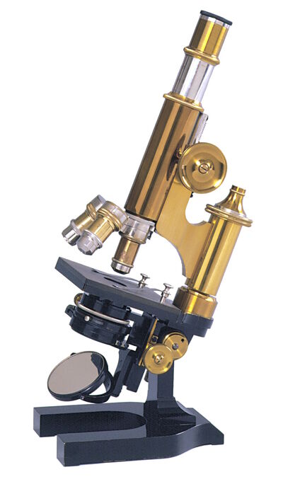 Standard microscope from around 1883 by Ernst Leitz in Wetzlar, Germany, with the typical features of the time