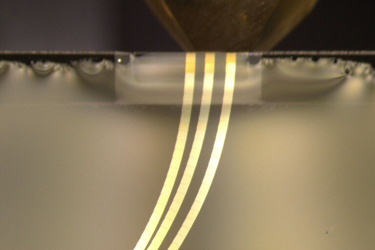 Tres cintas consecutivas para la Tomografía de Matriz, 30 secciones cada una, con un avance de 70 nm. Las cintas fueron preparadas con el módulo de Microscopía Electrónica de Volumen UC Enuity. Después de cortar automáticamente las cintas, UC Enuity añadió dos cortes de liberación de 100 nm de grosor al final de cada cinta.