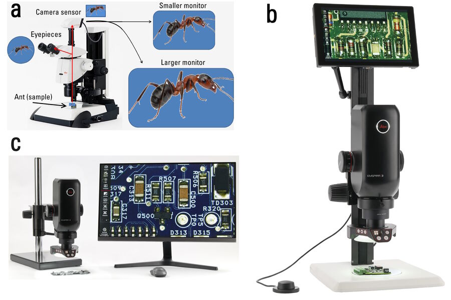 Figure 1: a) M205 C stereo microscope equipped with a Leica digital camera. The ant sample can be observed via the eyepieces or an electronic display monitor for image detection by the camera. b + c) Emspira 3 digital microscope utilizing different monitor sizes for image display.