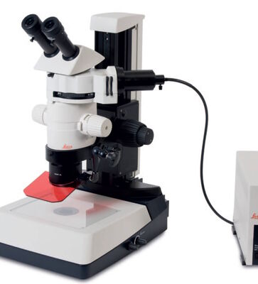 Fig. 13: MZ10 F microscope with TL3000 light base can be used for fluorescence screening of aquatic model organisms, such as the zebrafish.