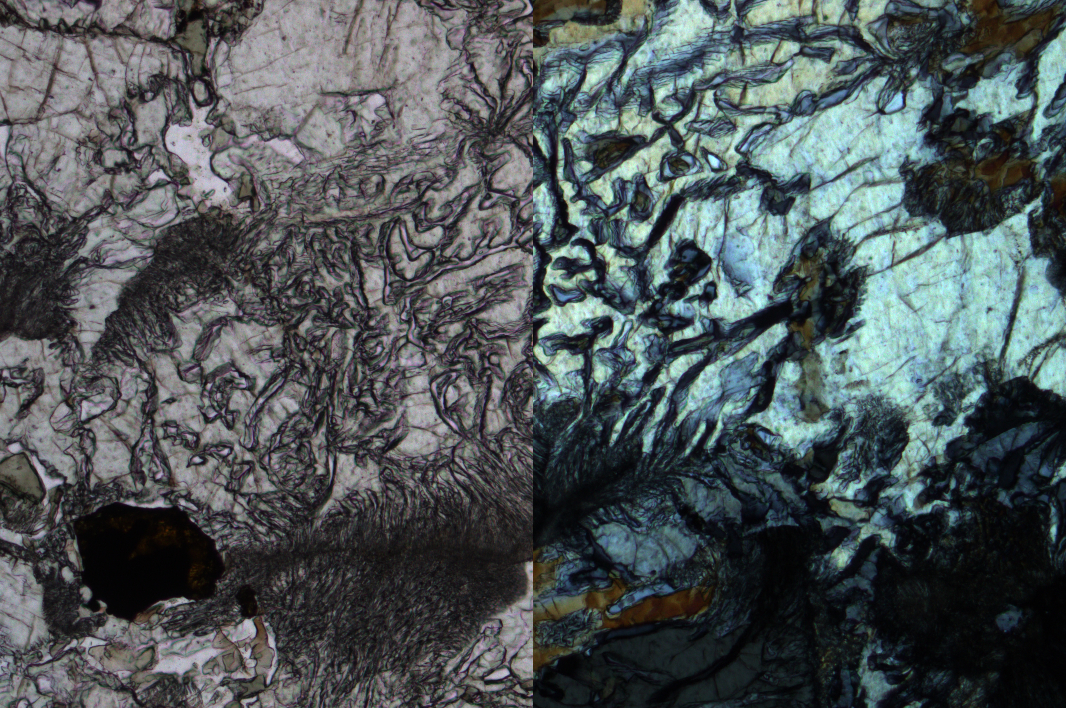 左：榴辉岩中的辛结构，由辉石和石榴石粘合而成，用平行偏光镜成像。这种反应是由于压力和温度的变化，而不是矿物最初形成的原始条件。右：用交叉偏光镜成像的榴辉岩中相同的辛结构。DM4P显微镜用透射光、20倍平面荧光物镜和偏光镜的成像效果