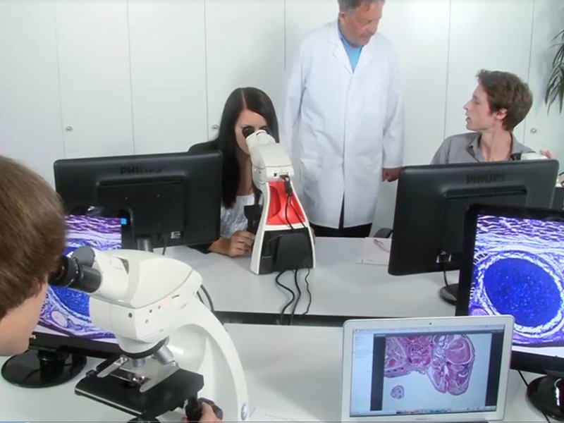 Interactive Microscopy System Leica IMS500 HD 