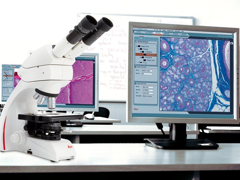 Sistema de microscopía interactivo Sistema de microscopía interactivo