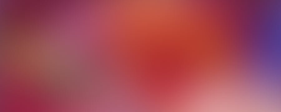 CaptiView Bildeinspiegelung | Produkte | Leica Microsystems