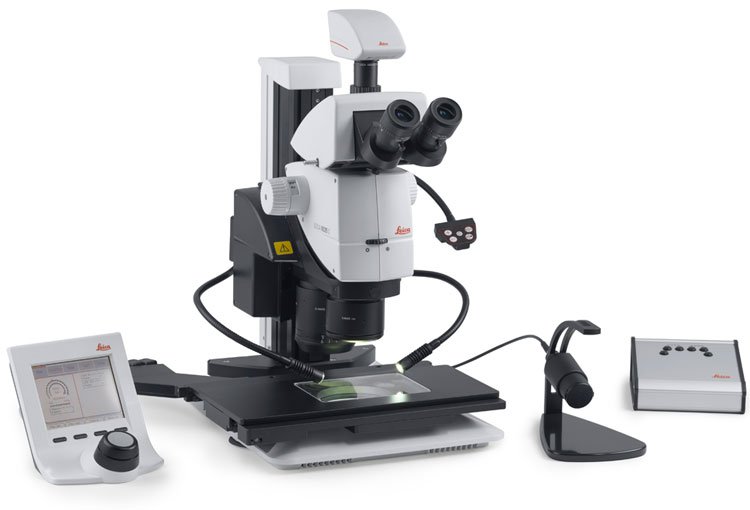 Leica M125 C microscopio estereoscópico