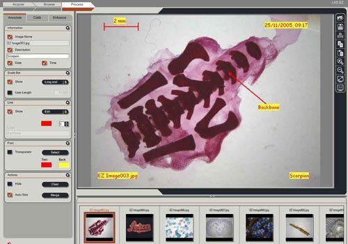 Integrated imaging system accurately stores high-resolution images fast. Integrated imaging system accurately stores high-resolution images fast.