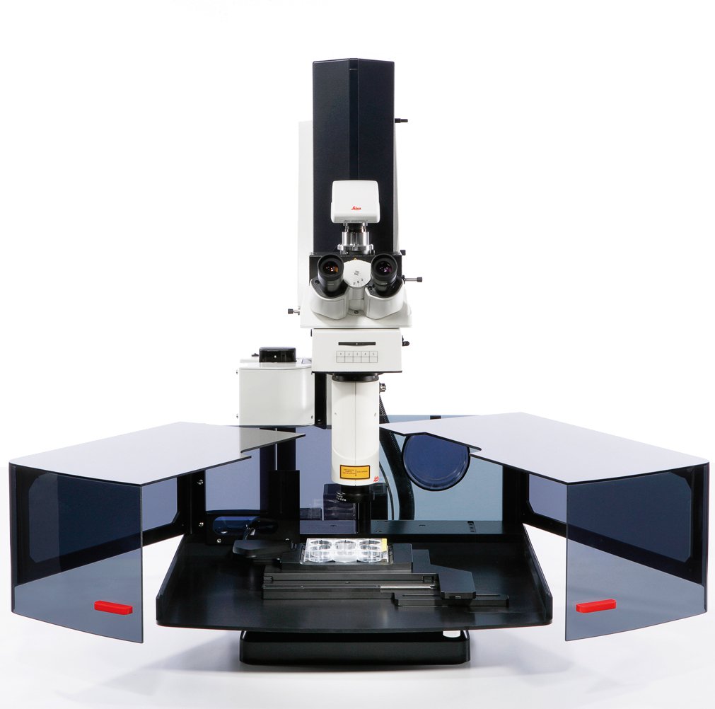 Studia con facilità i processi vitali dalla fase embrionale alla vita adulta sia con l'imaging ad alta risoluzione sia con l'imaging macro zoom a campo ampio.