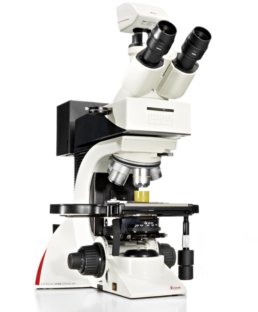 El eficiente sistema Leica DM2500 M mejora el flujo de trabajo y permite al usuario concentrarse enteramente en las tareas que está realizando.