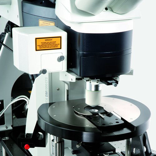 Leica TCS SP5 MP for deep tissue imaging