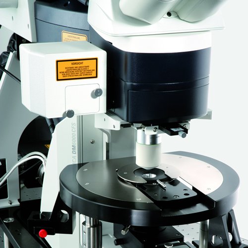 Leica TCS SP5 MP para la obtención de imágenes de tejidos profundos Leica TCS SP5 MP para la obtención de imágenes de tejidos profundos
