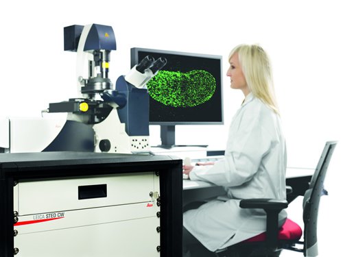 Leica TCS STED CW confocal microscope for live cell imaging below the diffraction limit