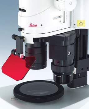 Simultaneous use of 1X stereo objective and 10X or 20X compound objective for high resolution imaging.