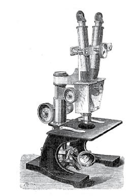 Historical stereo microscope 19th_3.jpg