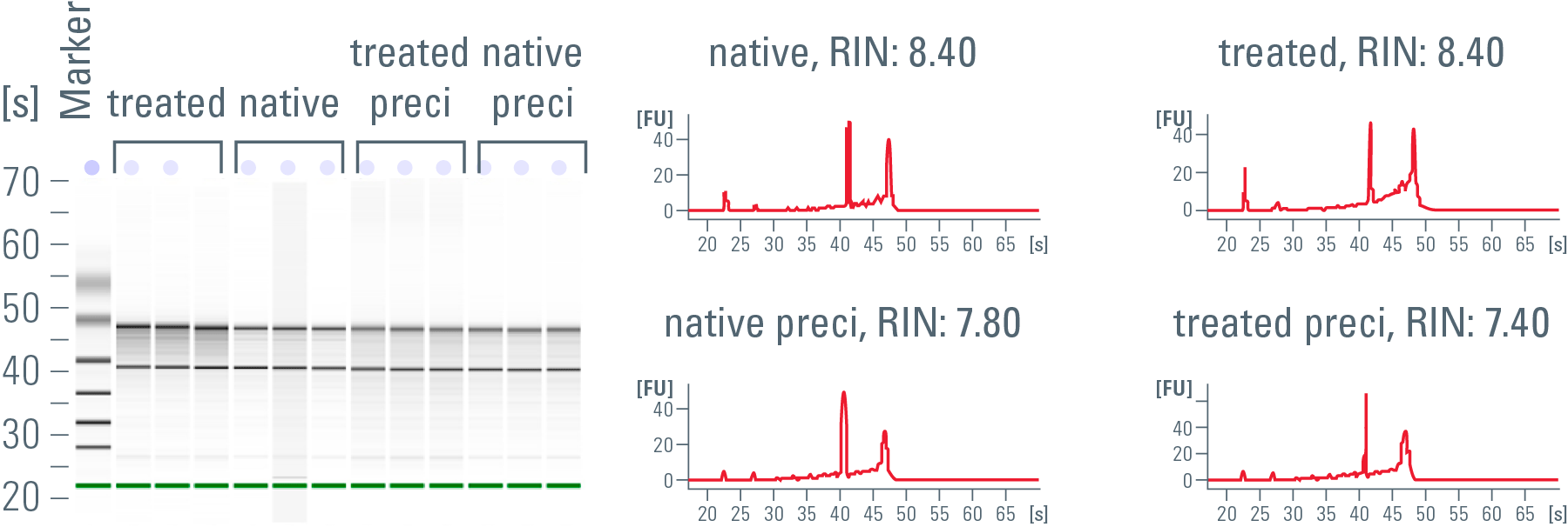 Comparison of the RNA quality of native, untreated as well as fixed and stained murine-brain sections