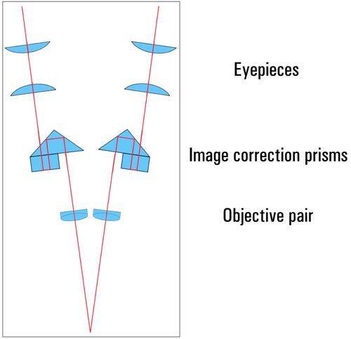 The Greenough principle: Two identical, separate optical systems are attached to the same stand at an angle of 10° to 16°. Two image-erecting prisms (porro prisms) in the beam paths ensure that the images are upright and correctly oriented.