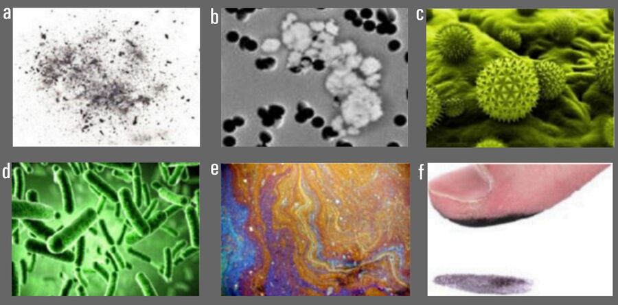Images of different types of contamination: a) residue particles from production method; b) dust; c) spores; d) bacteria; e) inorganic or organic films; and f) fingerprints.