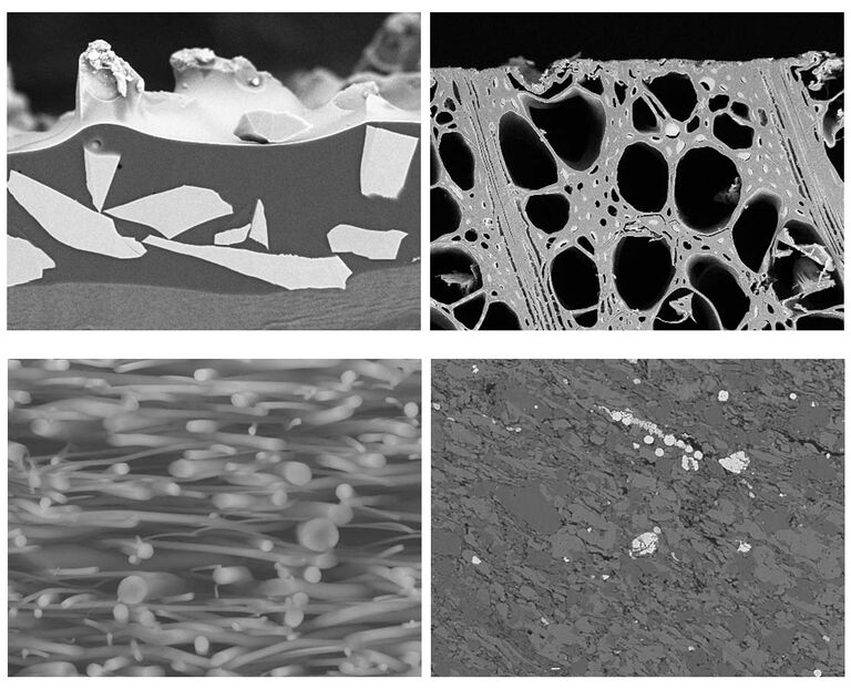 1: Section transversale du papier abrasif SiC l 2 : Section transversale de placage l 3 : Fibre polymère coaxiale (soluble dans l'eau) préparée à -120°C l 4 : Schiste bitumineux (nanopores), révélé par le Leica EM TIC 3X (platine rotative) taille totale de l'échantillon Ø 25 mm