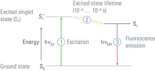 Fluorescence Jablonski Diagram.