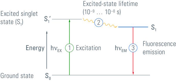 Fluorescence Jablonski Diagram