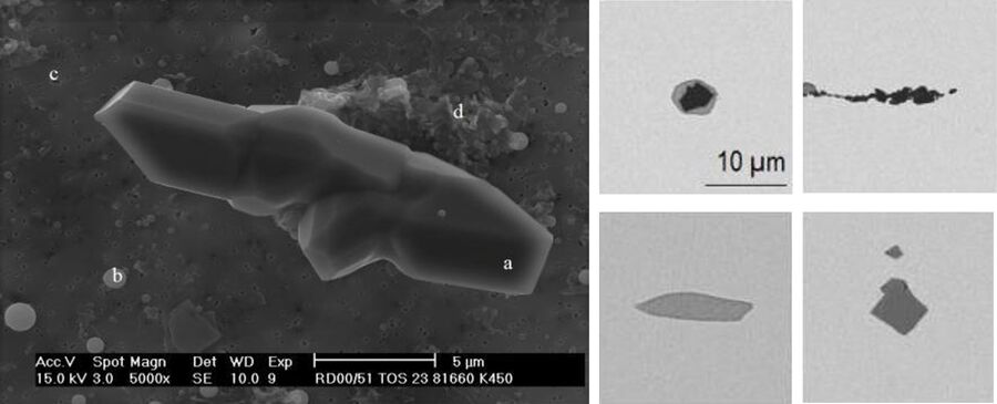 Electron (left) and optical (right) microscope images of non-metallic inclusions in steel