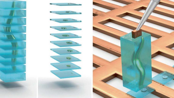Serial Lift-Out workflow for cryo-ET lamella preparation - Schematic illustration of the Serial Lift-Out method applied to a vitrified biological sample (e.g., C. elegans larva) embedded in bulk vitreous ice (blue). Image courtesy: Prof. Dr. Jürgen M. Plitzko - doi.org/10.1038/s41592-023-02113-5.