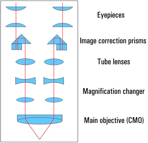 The telescope or CMO principle: The optical system consists of two parallel beam paths and a shared main objective which is why it is known as the CMO (Common Main Objective) system. Stereomicroscopes of this type have a removable observation tube and universal options for customization in the tube lens area.