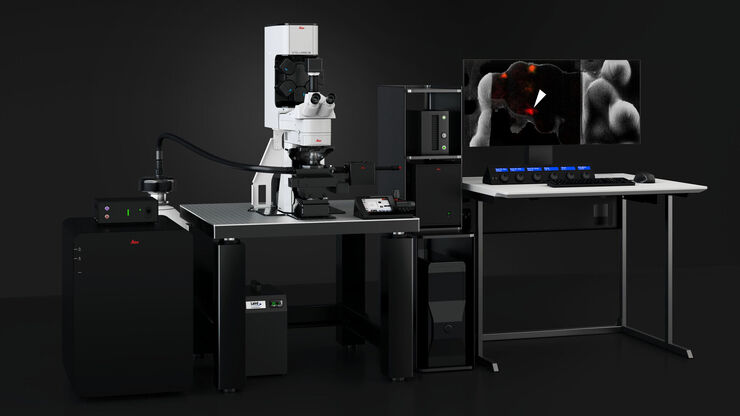 Confocal Light Microscope STELLARIS 5 Cryo