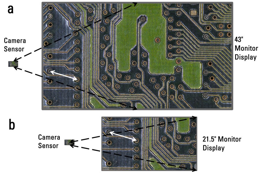Figure A1: Imaginary example of an image captured with a camera sensor having 8.29 MP (UHD, 3,840 x 2,160 pixels) and displayed with a 1-to-1 pixel correspondence on a: a) 43-inch monitor with the same number of pixels as the sensor and the same pixel size as the 21.5-inch monitor and b) 21.5-inch monitor with 1/4 as many pixels as the sensor (and 43-inch monitor) and the same pixel size as the 43-inch monitor. The white double arrow indicates a distance between the same features on each image. The length of the arrow is the same in each image (same number of pixels and pixel size).