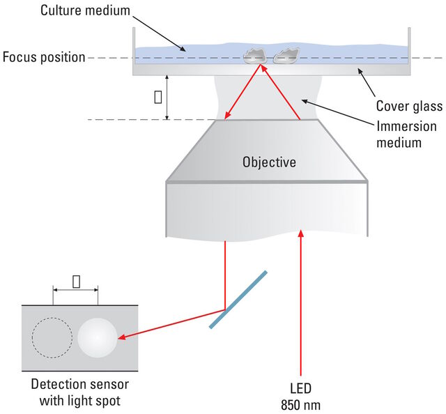 Adaptive Focus Control