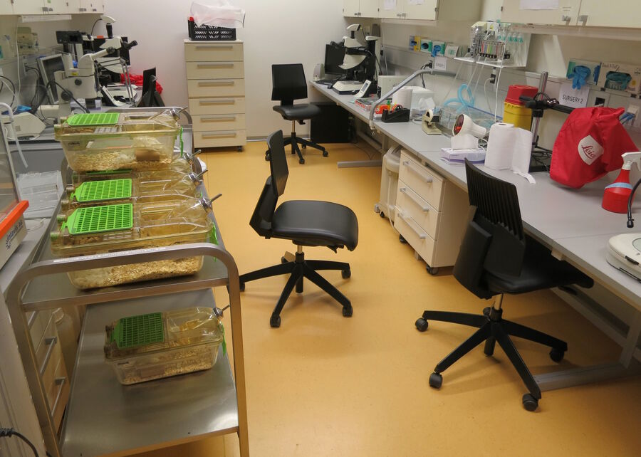 Figure 8: Mouse surgery laboratory for breast cancer research.