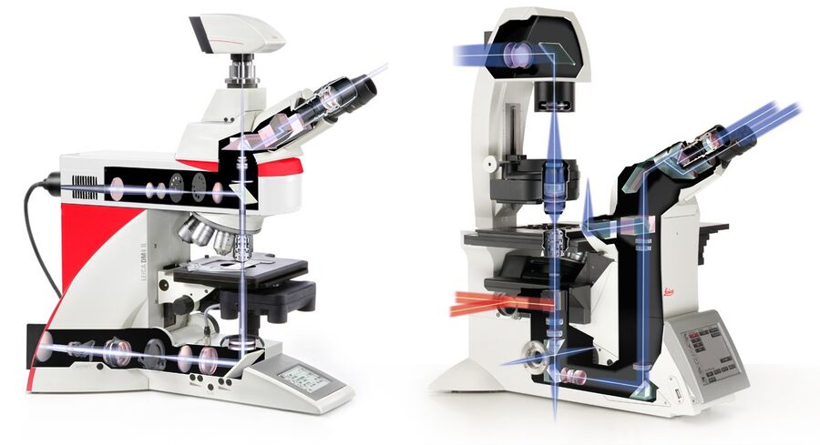 Lightpath of research microscope