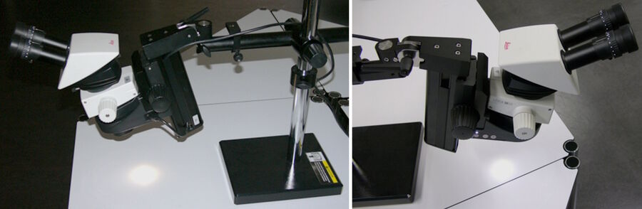 Figure 4: Possible setup for small animal surgery: the M50 stereo microscope mounted on a swingarm stand. The 5000 NVI near vertical illumination is installed.