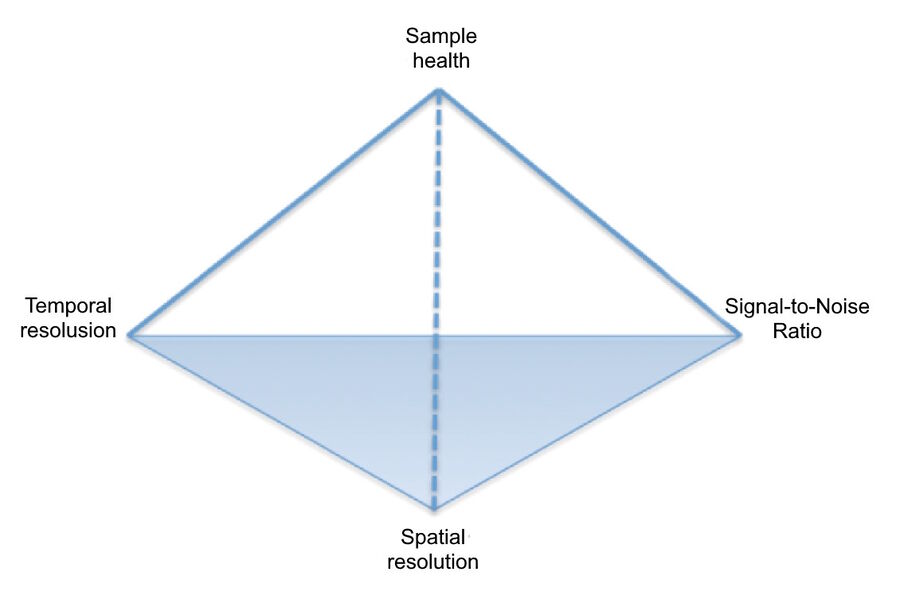 The “pyramid of frustration”. Finding the optimal “sweet spot” in live cell imaging involves achieving an acceptable balance between sample health, spatial resolution, temporal resolution, and signal-to-noise ratio (SNR)
