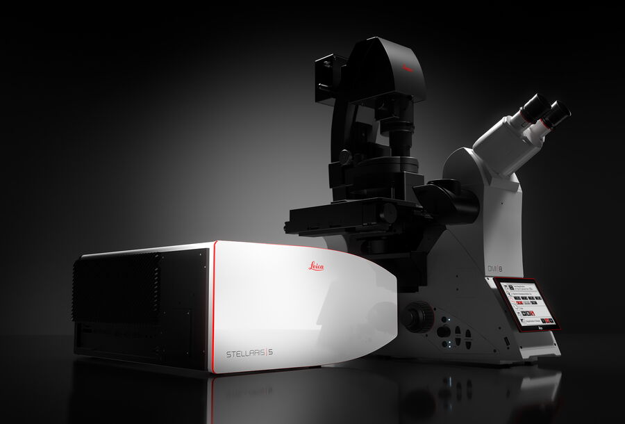 The STELLARIS platform comes with powerful hardware for live-cell imaging, including the white light laser (WLL), sensitive Power HyD detector family, and resonant scanner.