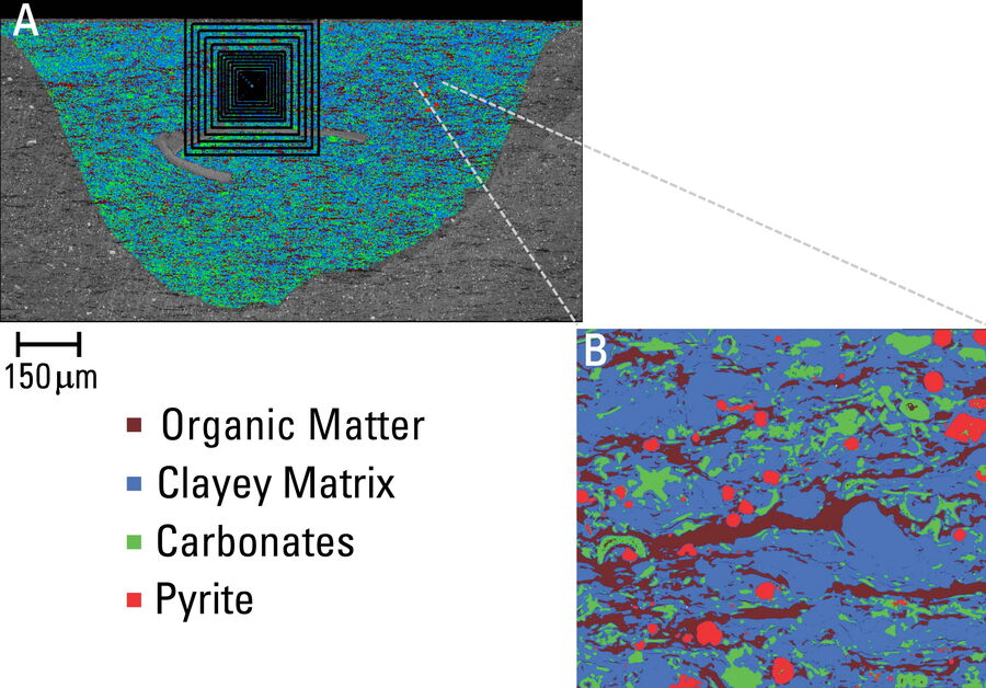 Segmented BSE image map of shale indicating the 4 phases, organic matter, clayey matrix, carbonates, and pyrite, with different colors: A) overview image showing box counting; and B) zoom-in of the area of interest for greater detail.