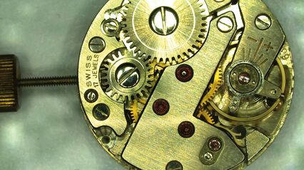 Watch casing, captured using ring light illumination and incident light base
