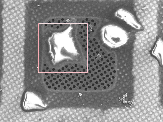 The exact same cell visualized and retrieved with the coordinate marker, here, on the Thermo Scientific Aquilos.
