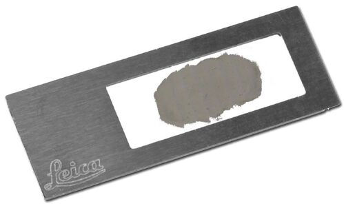 LMD frame slide with murine midbrain section LMD frame slide with murine midbrain section